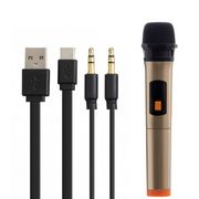 HOPESTAR A20 PRO с микрофоном в комплекте