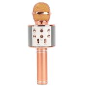 Беспроводной караоке микрофон WSTER WS-858 GOLD (USB, microSD, AUX, Bluetooth)