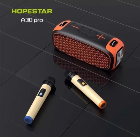 HOPESTAR A30 PRO с микрофоном в комплекте