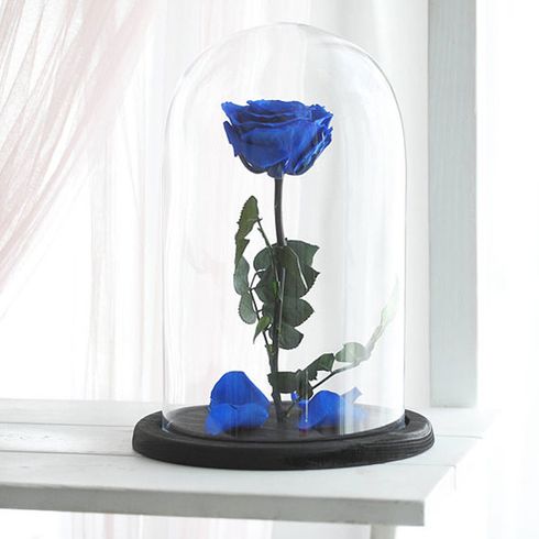 Синия роза в колбе