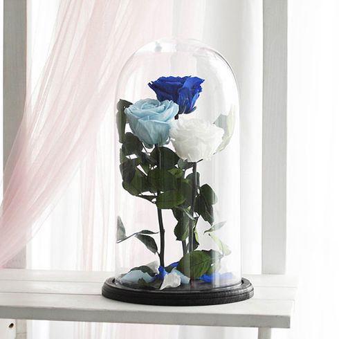 Синея, белая, и голубая роза в колбе, композиция трио