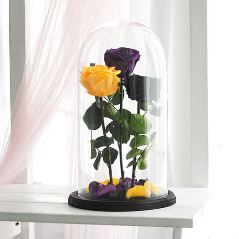 Фиолетовая, желтая, и черная роза в колбе, композиция трио