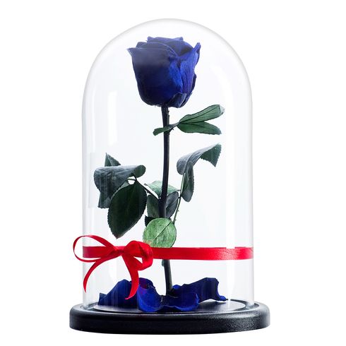 синяя роза в колбе премиум