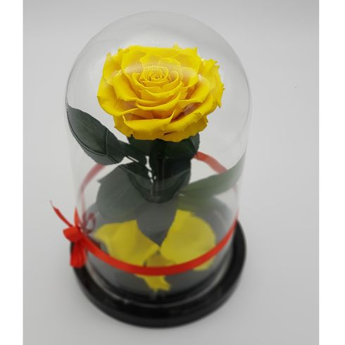 желтая роза в стеклянной колбе