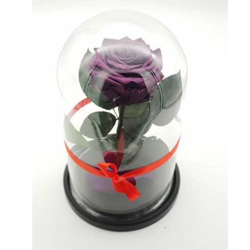 фиолетовая роза в стеклянной колбе премиум