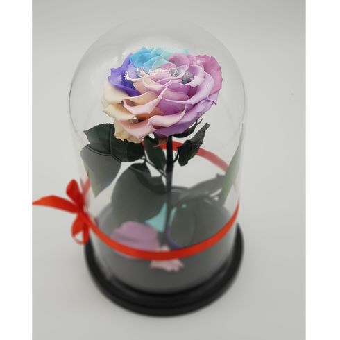 цветная роза в стеклянной колбе премиум