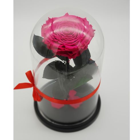 роза цвета фуксия в стеклянной колбе премиум