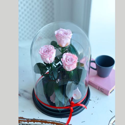 нежно-розовые розы в стеклянной колбе три премиум