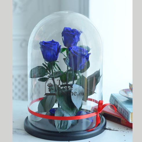 темно-синие розы премиум под куполом трио