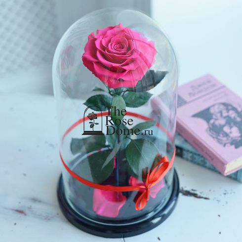 роза цвета фуксия в стеклянной колбе кинг