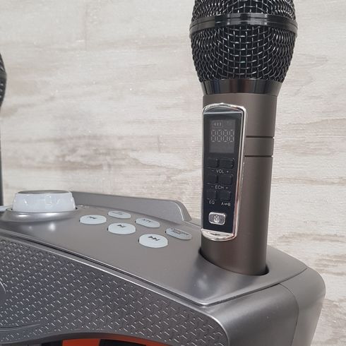 караоке система 306 Plus с микрофонами