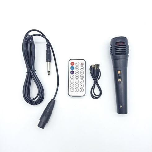Акустика ZQS-8202 с караоке микрофоном и пультом