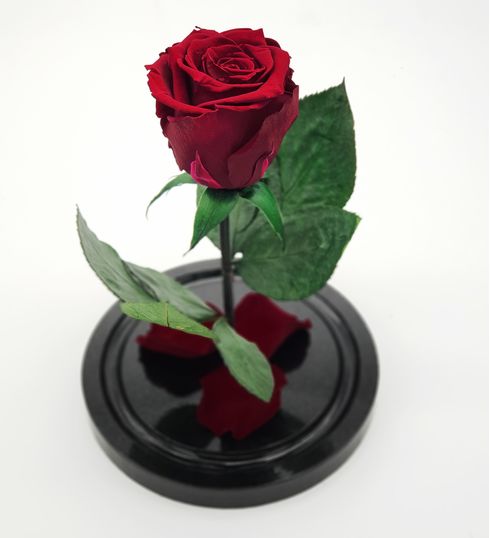 бордовая роза в стеклянной колбе мини