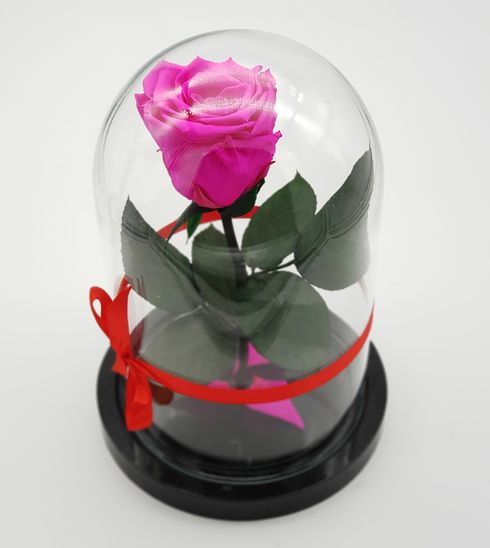 ярко-розовая роза в стеклянной колбе мини