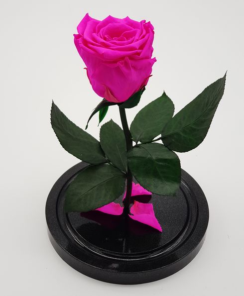 ярко-розовая роза в колбе мини